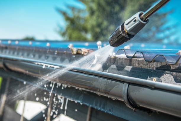 Best Roof Pressure Washing  in Reedley, CA