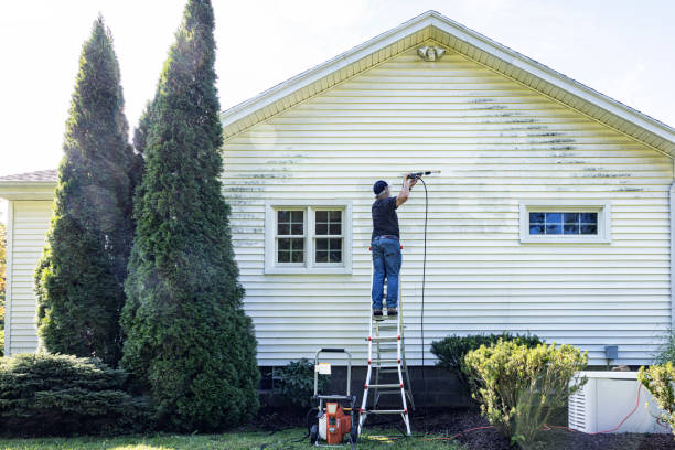 Best Roof Pressure Washing  in Reedley, CA